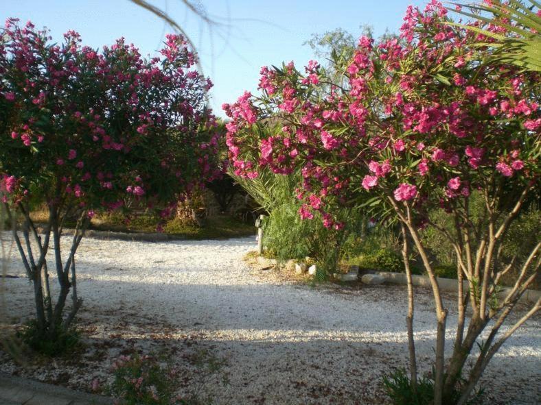 Casas Rurales Cortijo Torreblanca Parque Cabo De Gata El Pozo de los Frailes Eksteriør bilde