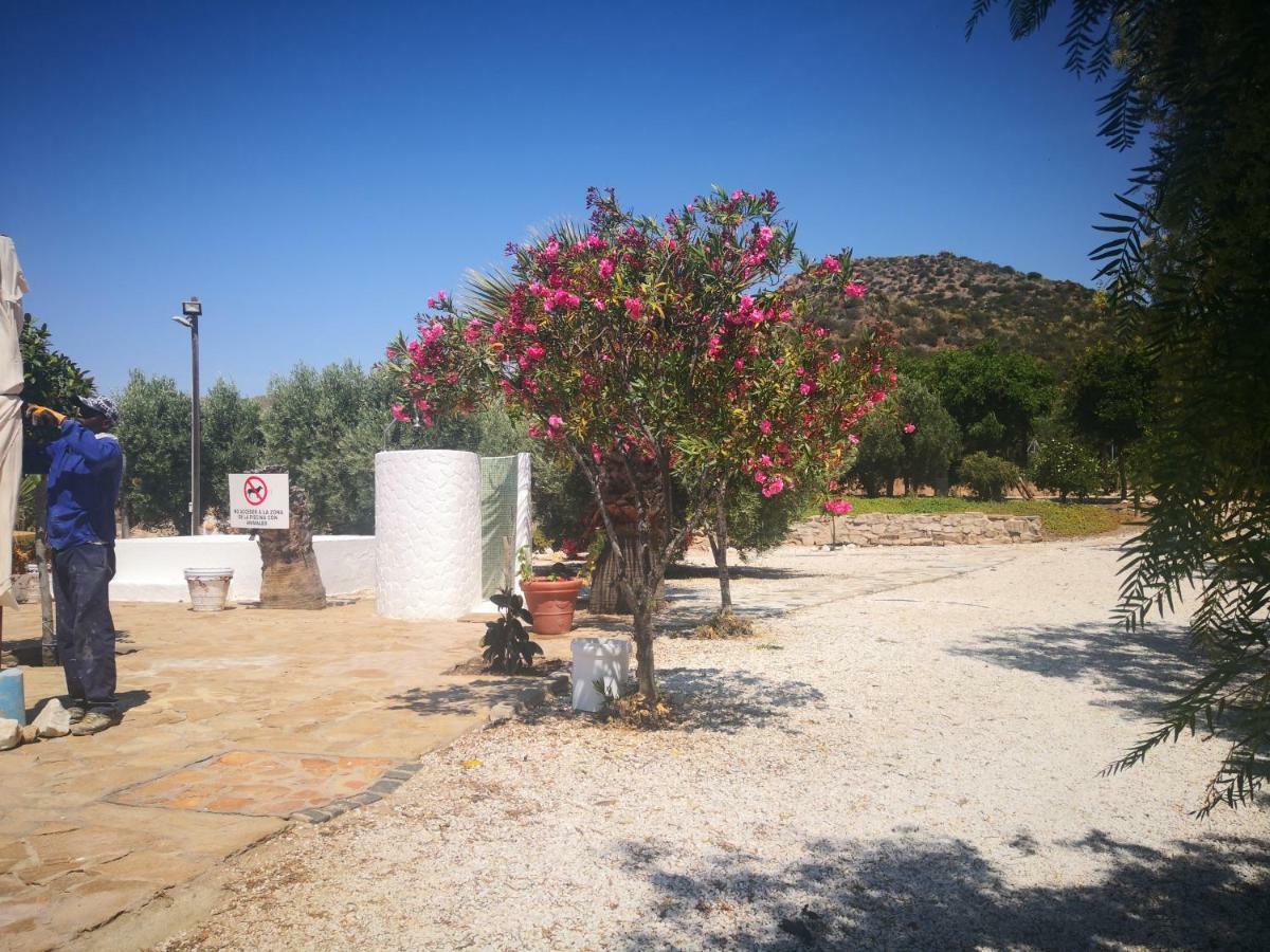 Casas Rurales Cortijo Torreblanca Parque Cabo De Gata El Pozo de los Frailes Eksteriør bilde