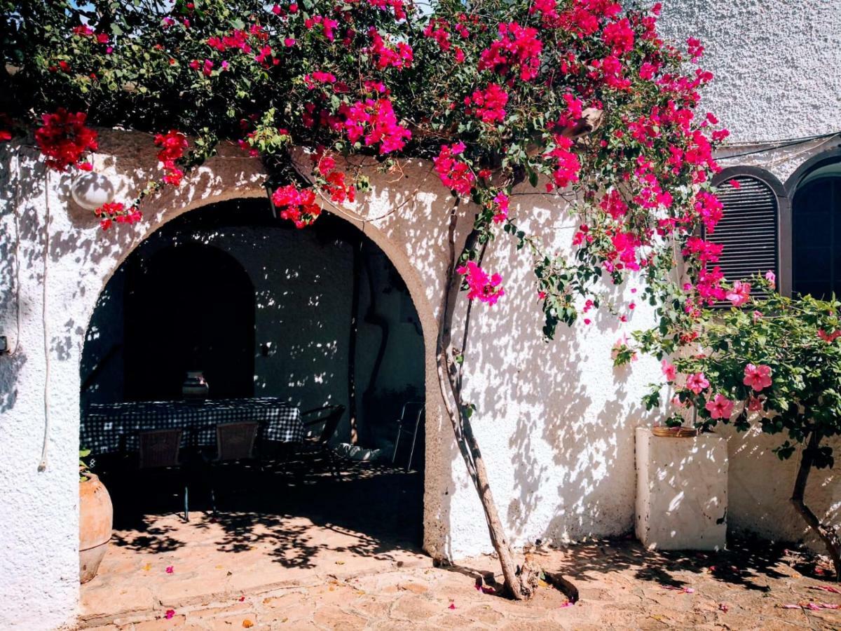 Casas Rurales Cortijo Torreblanca Parque Cabo De Gata El Pozo de los Frailes Eksteriør bilde